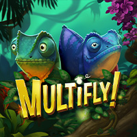 MultiFly!