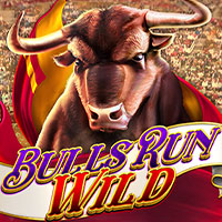 Bulls Run Wild